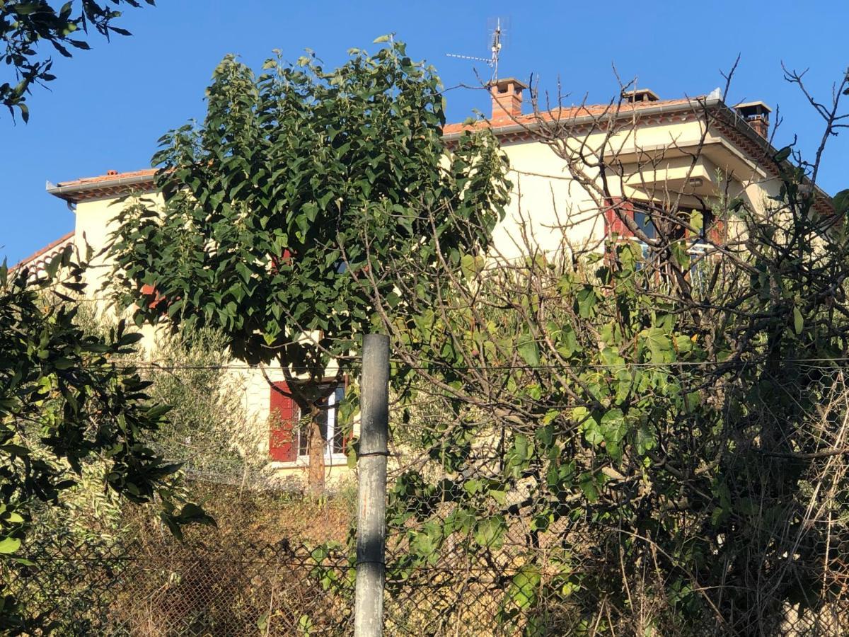 Appartement F3 de 60 m² au rez de chaussée d'une villa Vezenobres Esterno foto